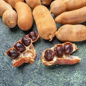 Asam Jawa (Tamarindus indica)