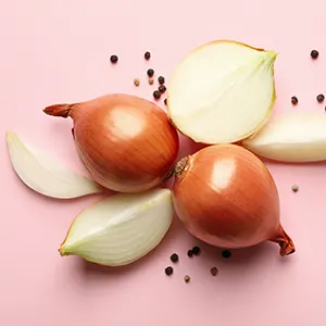 Bawang Bombai (Allium cepa)