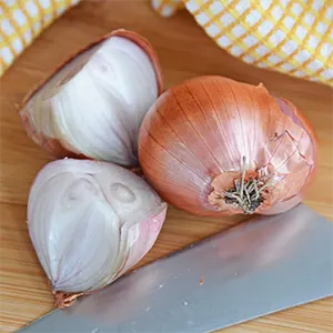 Bawang Merah (Allium cepa var. aggregatum)