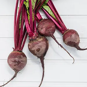 Bit (Beta vulgaris)