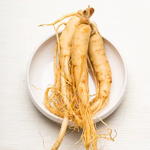 Ginseng