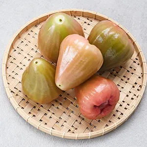 Jambu Air (Syzygium aqueum)