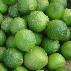 Jeruk Purut (Citrus hystrix)