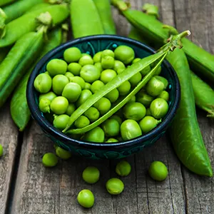 Kacang Polong (Lathyrus oleraceus)