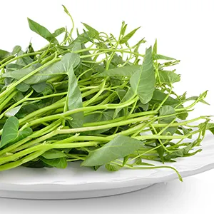 Kangkung