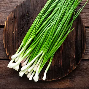 Lokio (llium schoenoprasum)