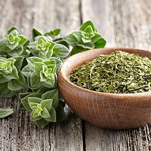 Oregano