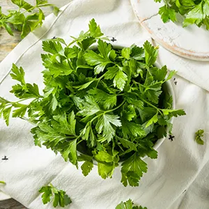 Parsley