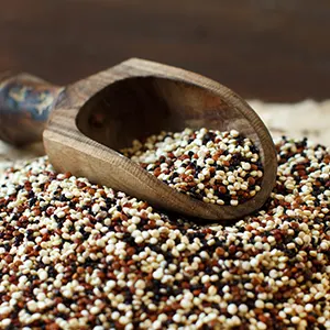 Quinoa