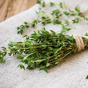 Thyme