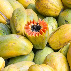 Pepaya (Carica papaya)