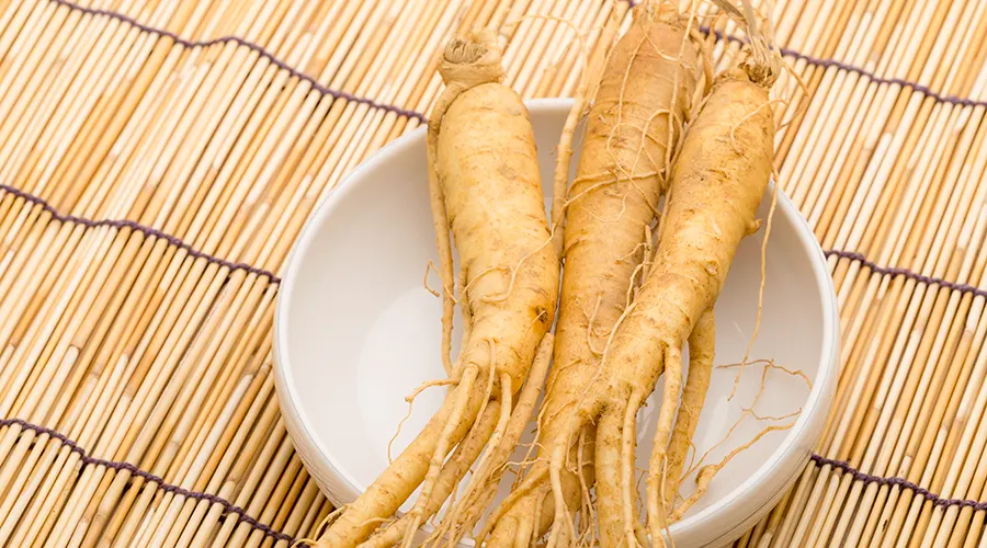 Manfaat Ginseng untuk Meningkatkan Energi dan Gairah