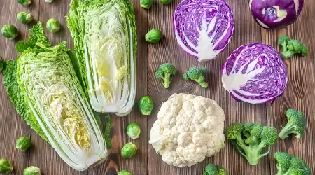 7 Kultivar dari Brassica oleracea, Satu Spesies beda Penampilan