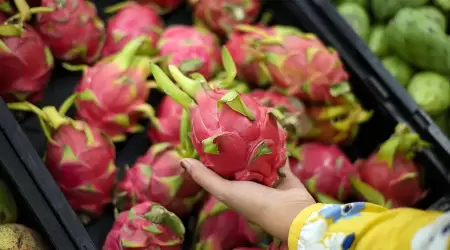 Buah Naga dan Manfaatnya untuk Kesehatan Mata