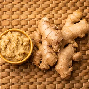 Jahe (Zingiber officinale)