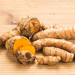 Kunyit (Curcuma longa)