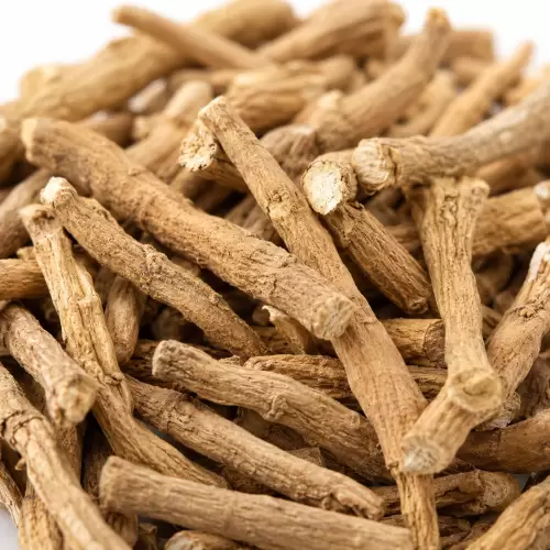 Akar Ashwagandha Ashwagandha