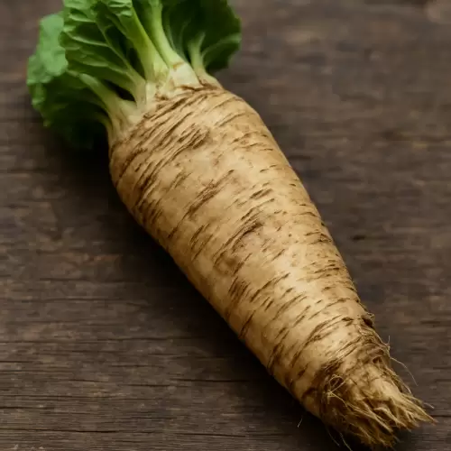 Horseradish