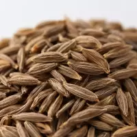 Biji Cumin / Jinten